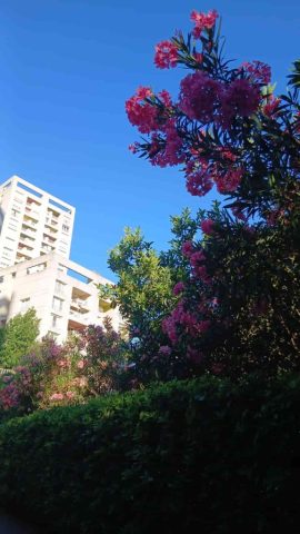 Antrium Residence