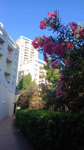 Antrium Residence