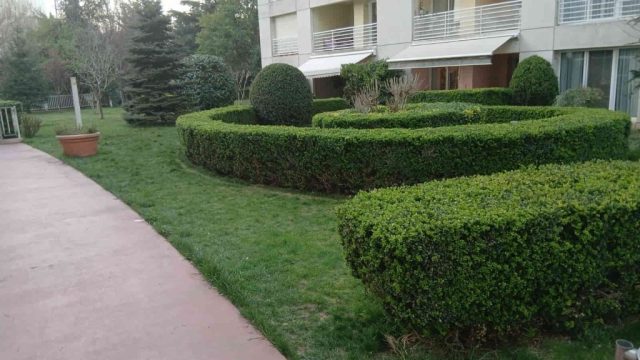 Antrium Residence
