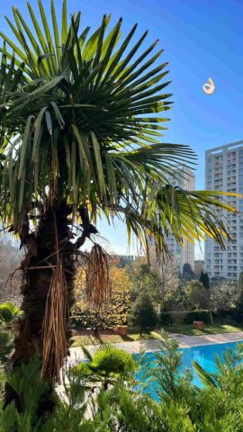 Antrium Residence
